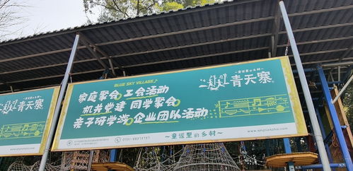 从蓝图到精彩 大型公司团建拓展活动的完美组织全攻略