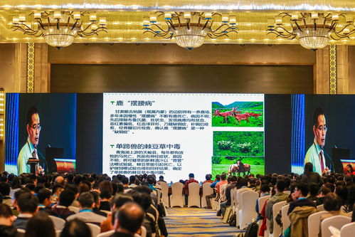 江西活动策划公司 专业承办南昌企业年会、产品推介会及大型活动组织策划服务